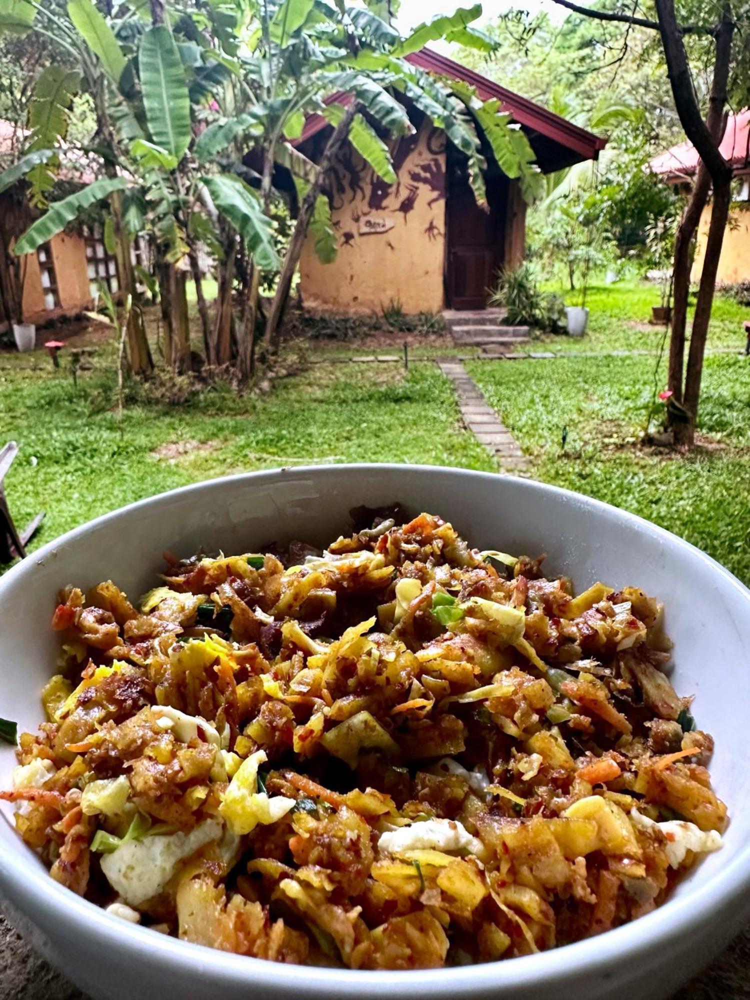 Sat Nam Village Eco-Hotel Sigiriya Dış mekan fotoğraf